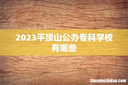 2023平顶山公办专科学校有哪些