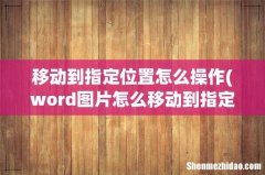 word图片怎么移动到指定位置 移动到指定位置怎么操作