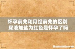 怀孕前兆和月经前兆的区别 尿液加盐为红色是怀孕了吗