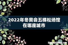 2022年冬奥会五棵松场馆在哪座城市