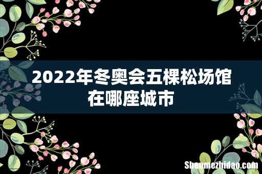 2022年冬奥会五棵松场馆在哪座城市