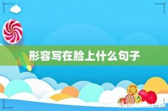 形容写在脸上什么句子