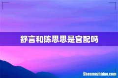 舒言和陈思思是官配吗
