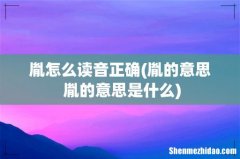 胤的意思 胤的意思是什么 胤怎么读音正确