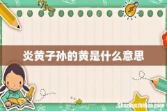 炎黄子孙的黄是什么意思