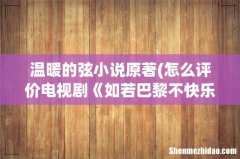怎么评价电视剧《如若巴黎不快乐》？ 温暖的弦小说原著