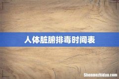 人体脏腑排毒时间表