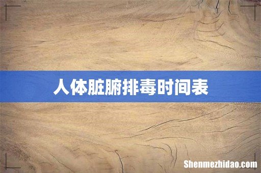 人体脏腑排毒时间表