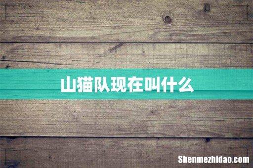 山猫队现在叫什么