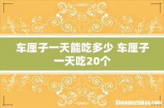 车厘子一天能吃多少 车厘子一天吃20个