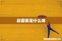 战国策是什么体