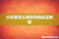 小白菜怎么保存时间长还新鲜