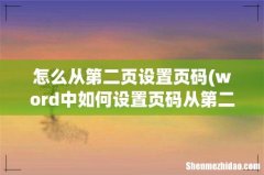 word中如何设置页码从第二页开始？ 怎么从第二页设置页码