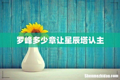 罗峰多少章让星辰塔认主