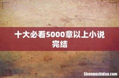 十大必看5000章以上小说完结