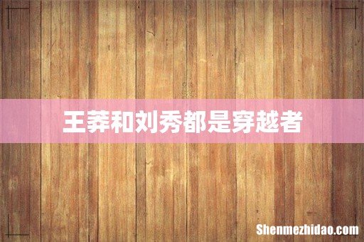 王莽和刘秀都是穿越者