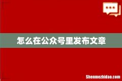 怎么在公众号里发布文章