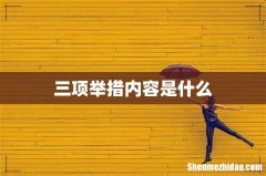 三项举措内容是什么