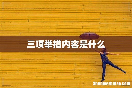 三项举措内容是什么