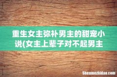 女主上辈子对不起男主或父母重生后弥补的小说 重生女主弥补男主的甜宠小说