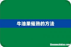 牛油果催熟的方法