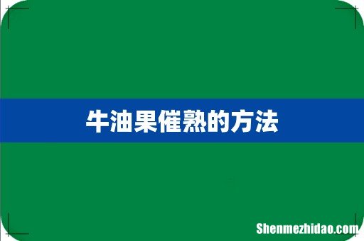 牛油果催熟的方法