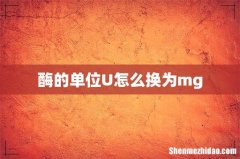 酶的单位U怎么换为mg