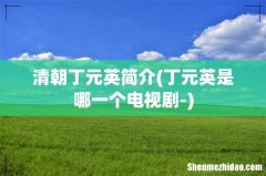 丁元英是哪一个电视剧- 清朝丁元英简介