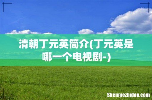 丁元英是哪一个电视剧- 清朝丁元英简介