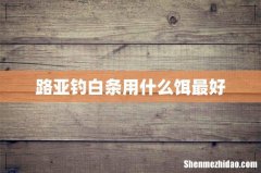路亚钓白条用什么饵最好