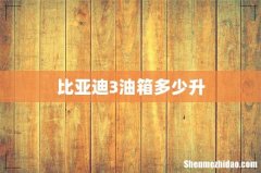 比亚迪3油箱多少升