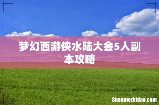 梦幻西游侠水陆大会5人副本攻略