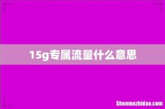 15g专属流量什么意思