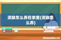 泥鳅怎么养 泥鳅怎么养在家里