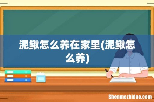 泥鳅怎么养 泥鳅怎么养在家里