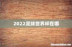 2022足球世界杯在哪
