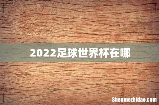 2022足球世界杯在哪