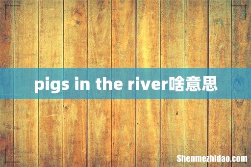 pigs in the river啥意思