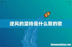 逆风的坚持是什么歌的歌