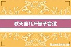 秋天盖几斤被子合适