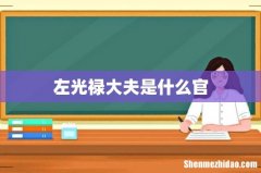 左光禄大夫是什么官