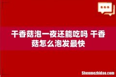 干香菇泡一夜还能吃吗 干香菇怎么泡发最快