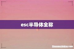 esc半导体全称