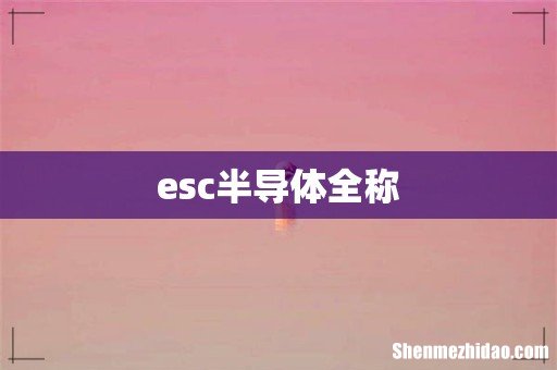 esc半导体全称