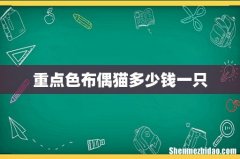 重点色布偶猫多少钱一只