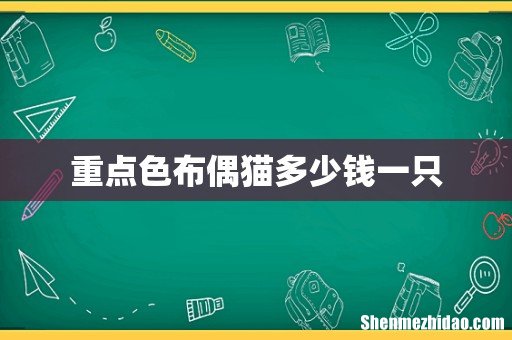 重点色布偶猫多少钱一只