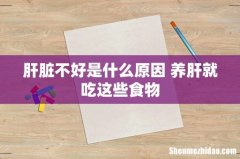 肝脏不好是什么原因 养肝就吃这些食物