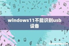 windows11不能识别usb设备