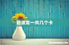 碧波龙一共几个卡
