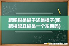 耙耙柑跟丑橘是一个东西吗 耙耙柑是橘子还是橙子